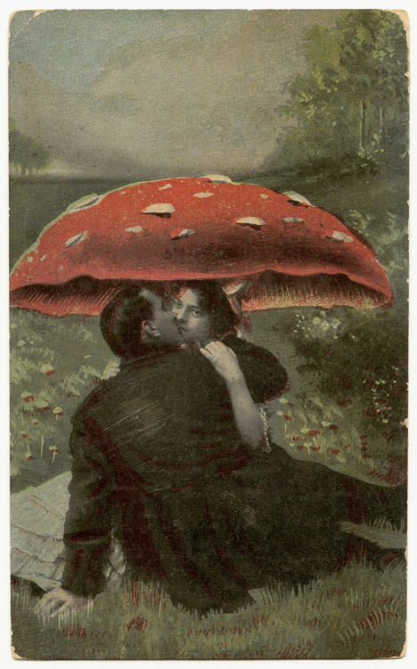 Wonderfully Strange - Under the Mushroom, 2010  Photo Painting