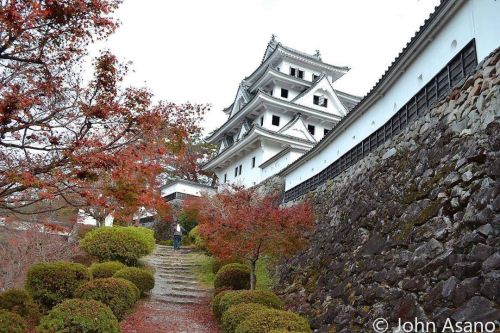 Spent the day in the historic castle town of Gujo Hachiman in Gifu Prefecture researching a project 