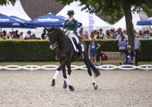 real-geldings-have-curves: CHIO Aachen part 3