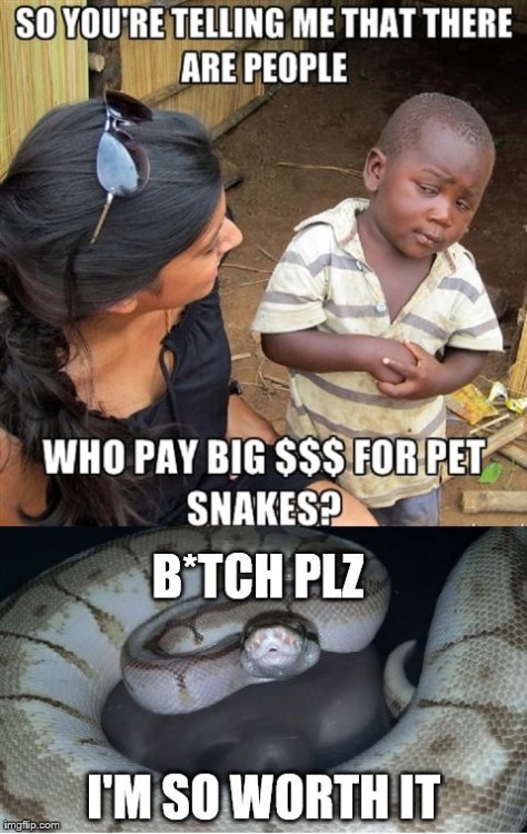 Skeptical African Kid vs Skeptical African Snake I’m pretty proud of this one. Featuring Fredd