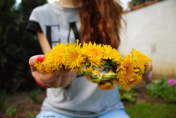 im-giraffe:flower crown my friend made c: