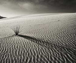 White Sands National Monumentnear Alamagordo NM-jerrysEYES