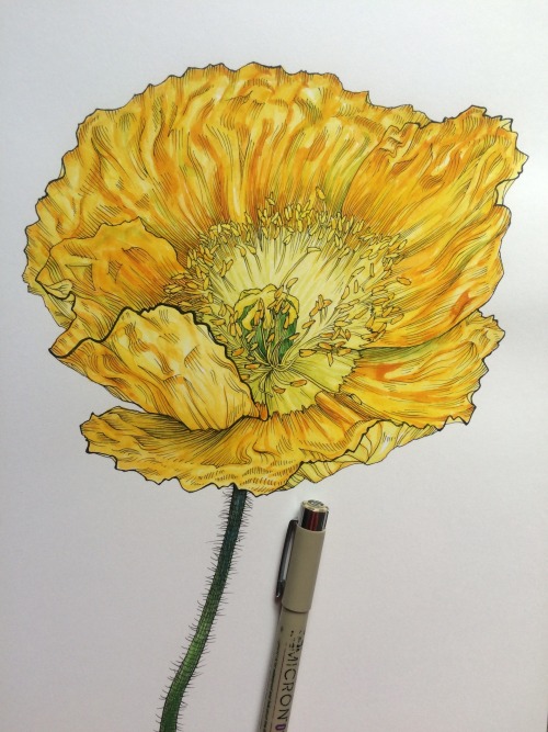 💛