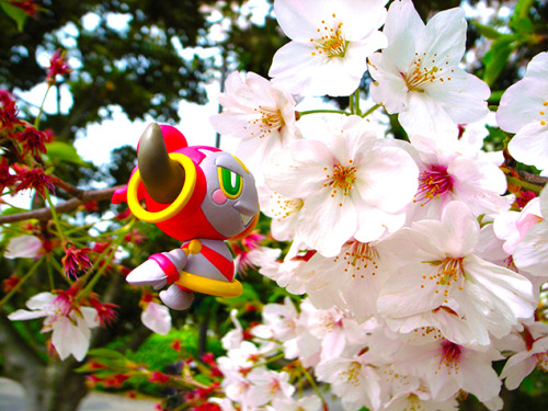 shelgon: “Hoopa is playing hide-and-seek! Can you find Hoopa?”