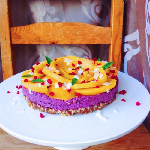 Raw Vegan Acai and Mango Cheesecake(Click image for recipe)