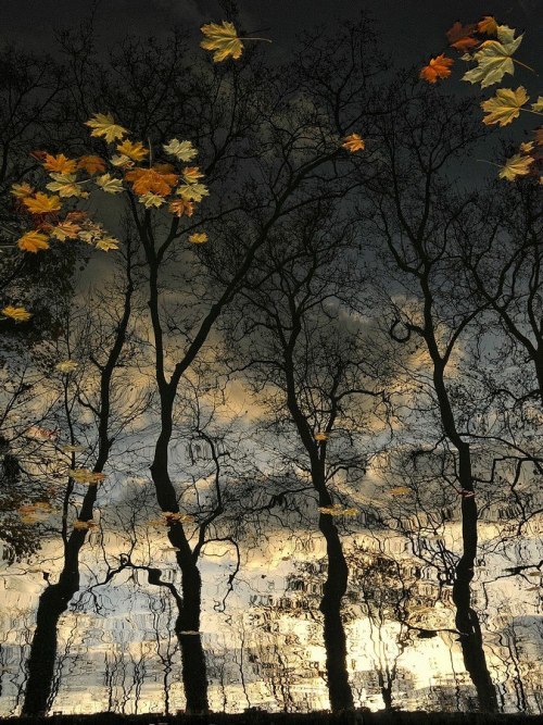 elsadreams:  © Pascale Albrand   facebook _ elisamariamatei