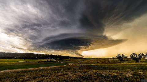 sixpenceee:  The above is a mesocyclone. It’s a vortex of air within a convective