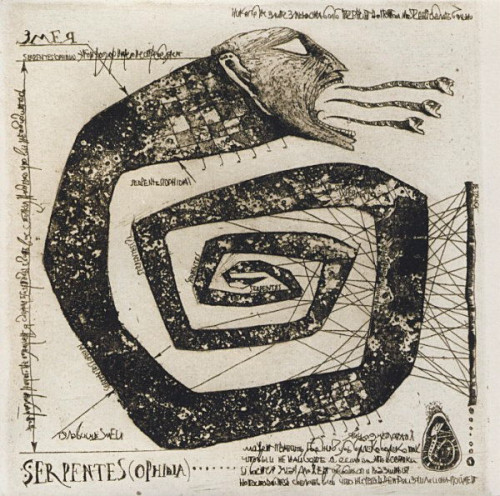 paganalia:SERPENTES (OPHIDIA)etching by Stas Azarovfeatured in the booklet for Diamanda Galás’s La S