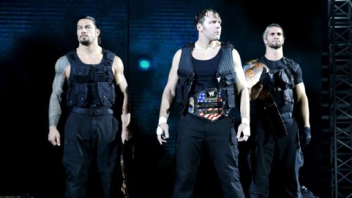 marylovestheshield:  The Shield Spam!! Happy New Year’s to my Lovely Followers! I love you guys so much & let’s have an AMAZING 2014!! :D 