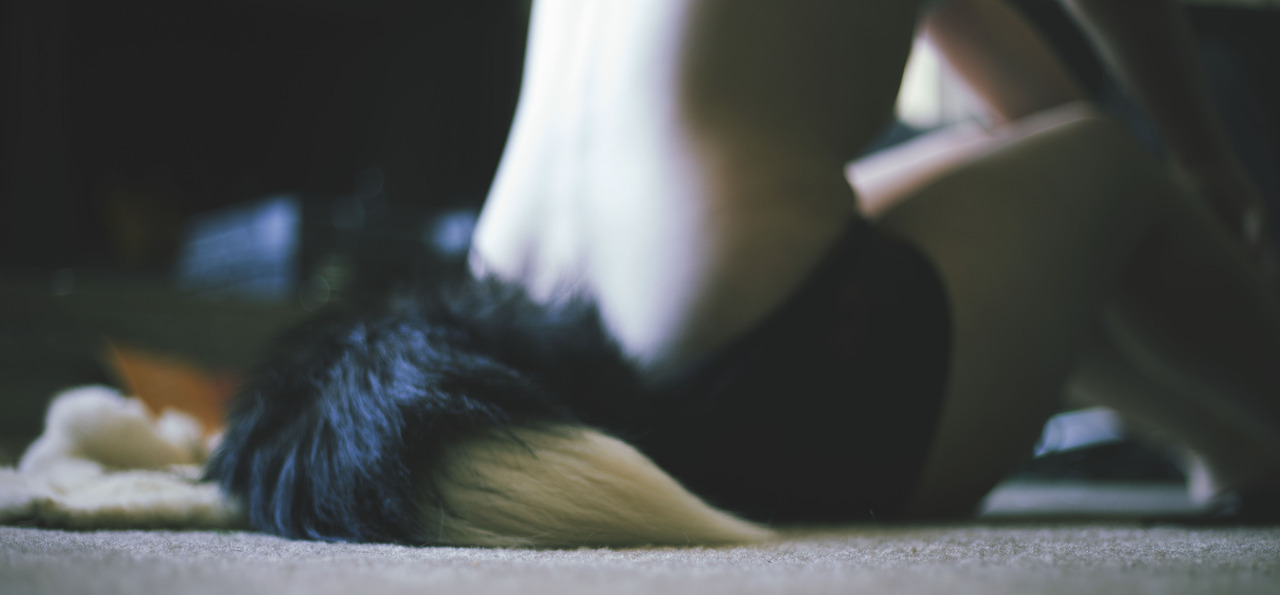 Only Tails