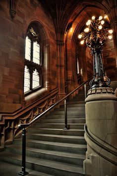 vintagepales:   The John Rylands Library. Manchester. UK