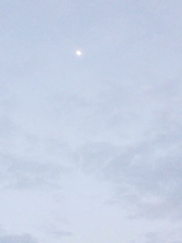 rnonaco:  pale beach aesthetic 
