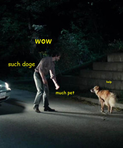 comicsannibal:  STAY AWAY FROM THE DOGE 