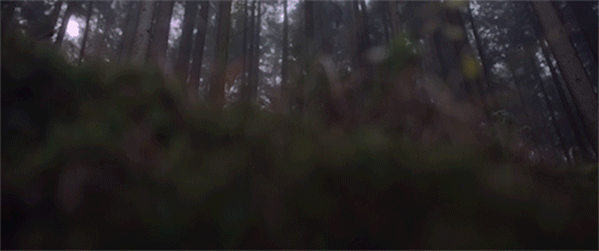 opticcvlture:    Life Is Energy In Motion  