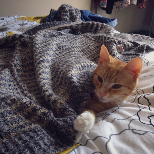 lost-lil-kitty:  Mal looked cold so I tucked adult photos