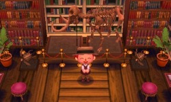 mayorlei:  Here are a few shots of my recently completed library! :) 