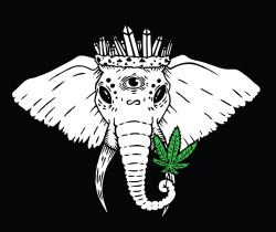 obeytheprophecy:  ▲ obey the prophecy ▲ the door to wonderland