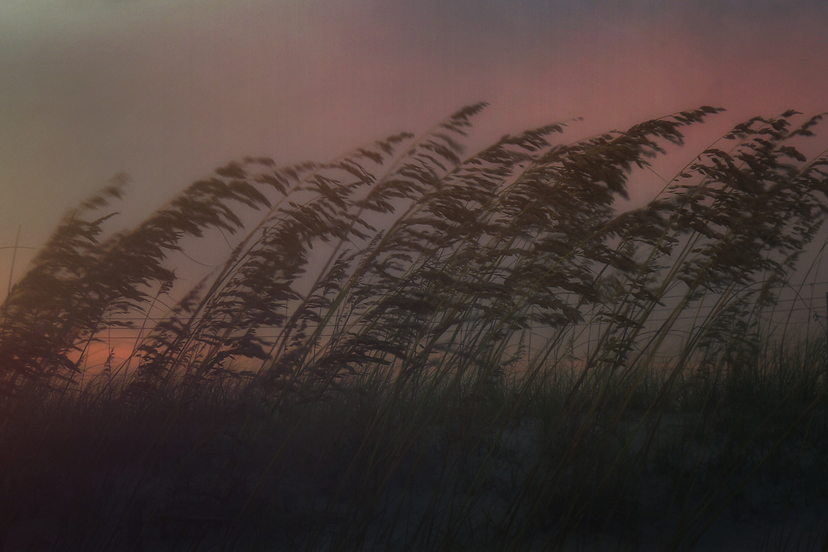 katerieke:  brooding landscapes 