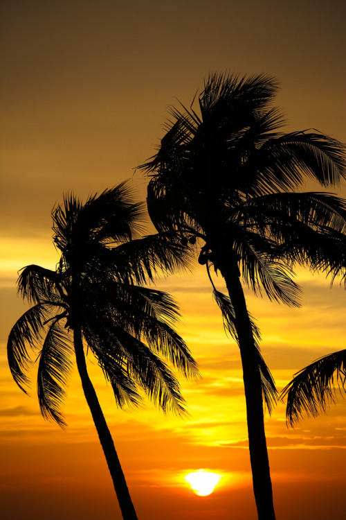 breathtakingdestinations:  Smathers Beach - Key West - Florida - USA (von Joe Parks)