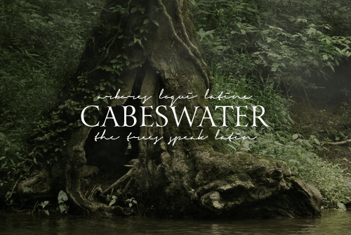 terrasn: @ravencyclenetwork search: locations“If one squinted into Cabeswater long enough, in 