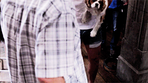 mishasminions:  JENSEN IN SHORT SHORTS AND A TANK TOP #ARMS #LEGS THIS IS SO IMPORTANT