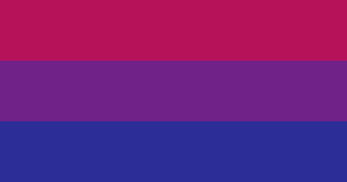 Evenly striped and “reverse” bi flag