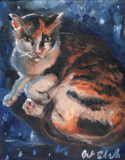 Izzy, 2016, oil on canvas, 11x14in. Patreon update posted, for those pledged!