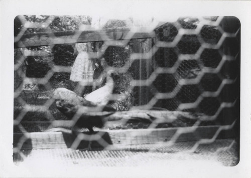 Girl and Fence.jpg by akrausha on Flickr.