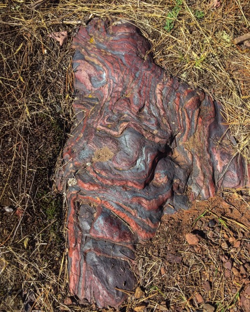 upnorthphoto:Banded Iron formation. Jasper Knob, Ishpeming, Michigan.That is some awesome iron forma