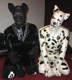 zentaispot:  Two Rubber Puppies 