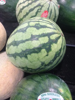 HMMM WHT SHOULD I DO WITH THIS WATERMELON????