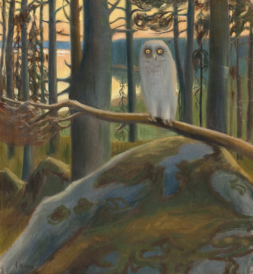 An Owl  -   Arnno KarimoFinnish, 1886–1952Oil on canvas, 52,5x48 cm.