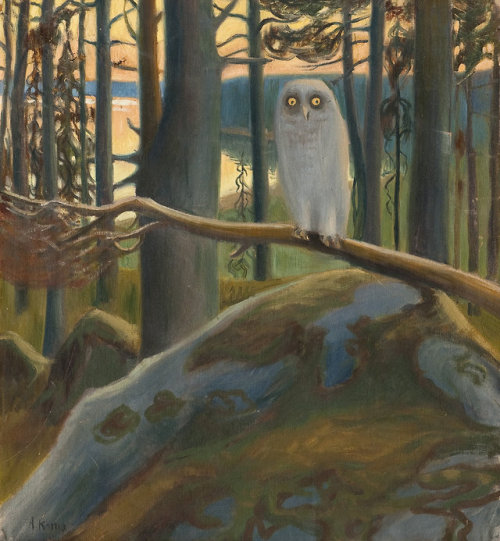 huariqueje: Owl    -   Aarno Karim Finnish,  1886-1952 Oil on canvas, 52.5 x 48 