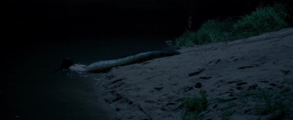 oldfilmsflicker:The Lure, 2015 (dir. Agnieszka Smoczyńska)