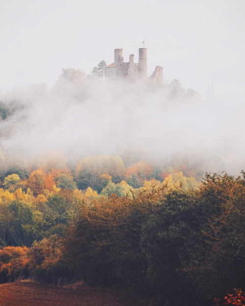 photosworthseeing:meolog:Burg Hansteininstagram The trees in autumn colours with the fog above it ar