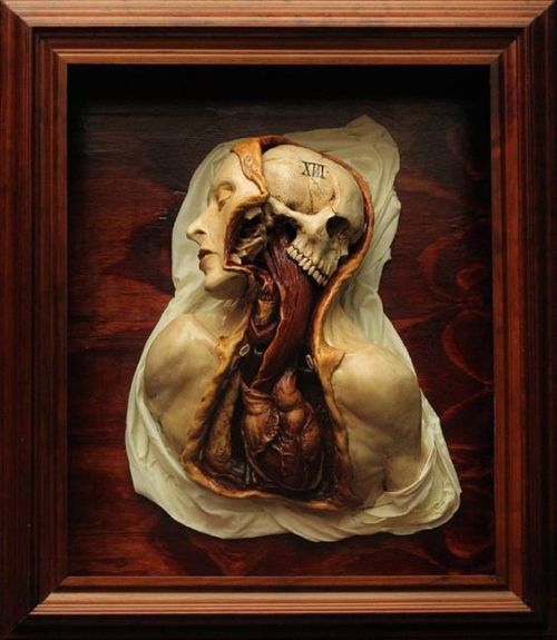 artthatremindsmeofhannibalnbc:Emil Melmoth, Arcane XIII (Transfiguration), 2018Epoxy clay & varnished wood #reblogs#hannibal#nbc hannibal #art that reminds me of hannibal #emil melmoth#sculpture#contemporary art #busts and portraits #skulls#organs#viscera#gore #medical illustration adjacent #were conjoined #as seen in wills memory palace  #as seen in hannibals memory palace #queue