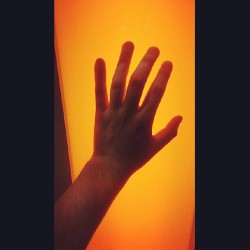 #orange #instafollow #handsies