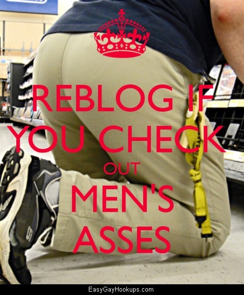 sovereigncub: trunklegs: ass-is-life87: spreadmaleasses:Regular guys just looking to fuck: bi