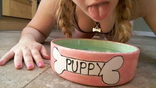 XXX omg-jigglypuff: Thirsty dog.  photo