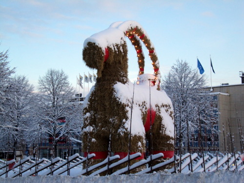 December 1 1966,  The first Gävle goat, an annual Swedish Yule Goat tradition, is erected 