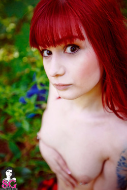 sglovexxx:  UltraMarie Suicide