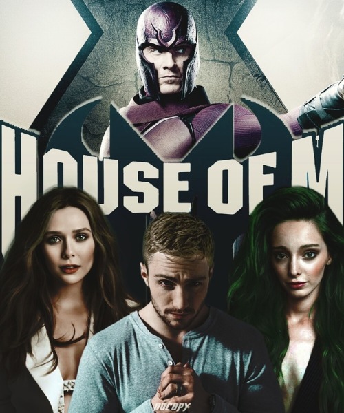 HOUSE OF M #Marvel #XMen #Magneto #ScarletWitch #Quicksilver #Polaris #ErikLehnsherr #WandaMaximoff 