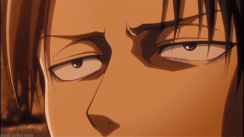 Levi's Eyes' Appreciation Post: