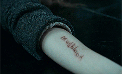 wolfinghard:  harry potter + details 
