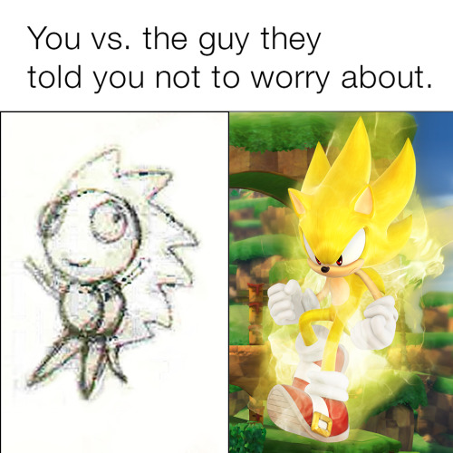 sonicthehedgehog:    Don’t worry, they said.  