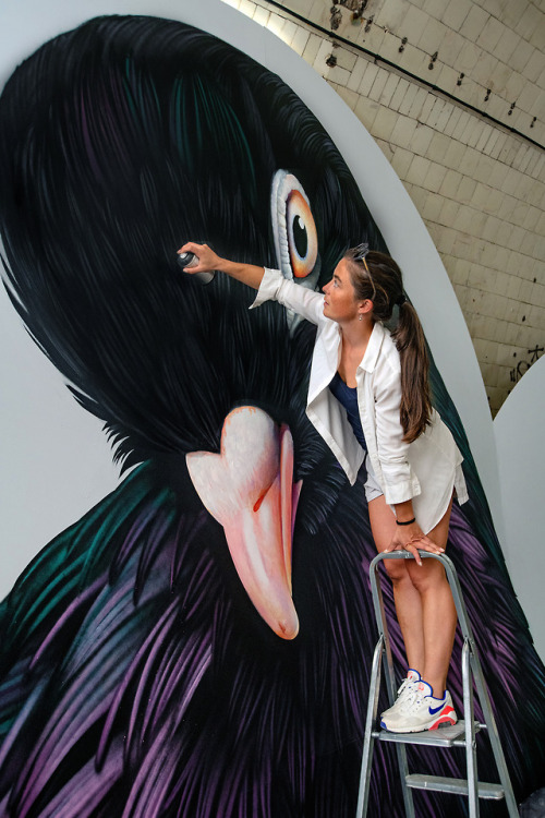 itscolossal:Extraordinary Pigeons Take Flight in Large-Scale Feathery Murals by Adele Renault 