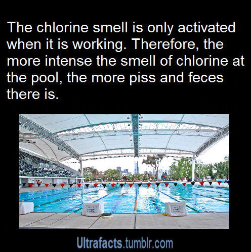 queerlux:  tarynel:  heyriahh:  ultrafacts:  Source More Facts  O_O  Fuck. I’m