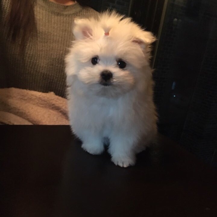 leesurin:ì•„ë‹ˆ ìˆœì •ì•„ =_= ì§„ì§œ ê·€ì—¬ì›Œì„œ