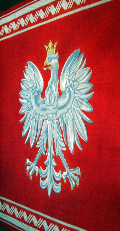 kulturapolska: Today, 3rd of May 2016, is a very special celebration for all Polish (Catholics). Fir