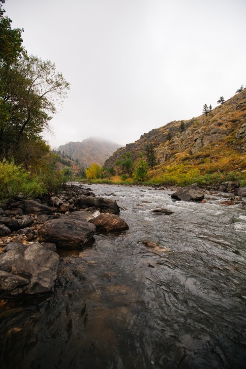 vhord:  getlost-in-nature:  bentmatthews:  A River Runs Through It.   @bentommat on Instagram   Explore The World  strictly nature